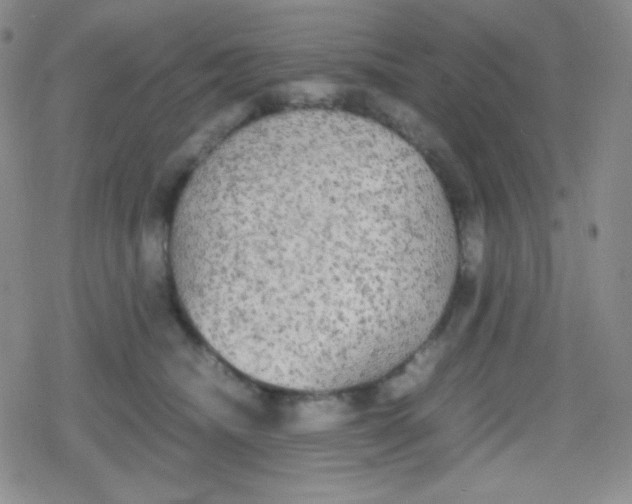 X0000079320468200612081938