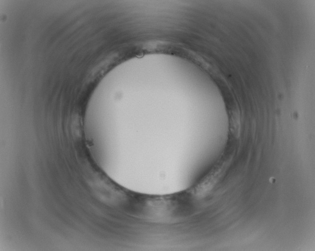 X0000079320470200612081938