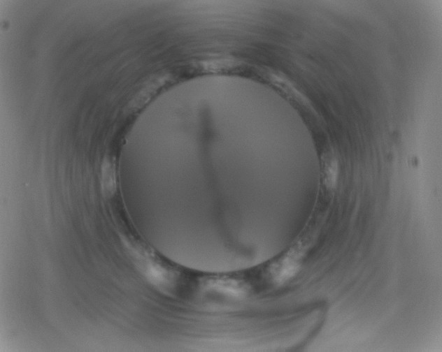 X0000079320471200612081938