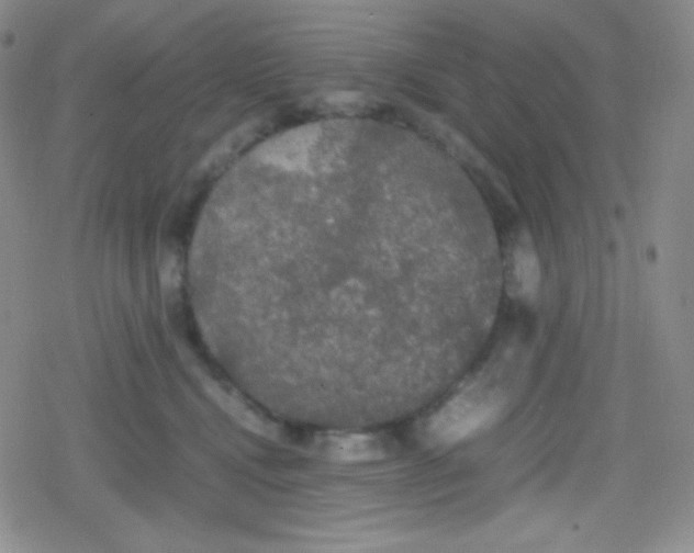 X0000079320472200612081938