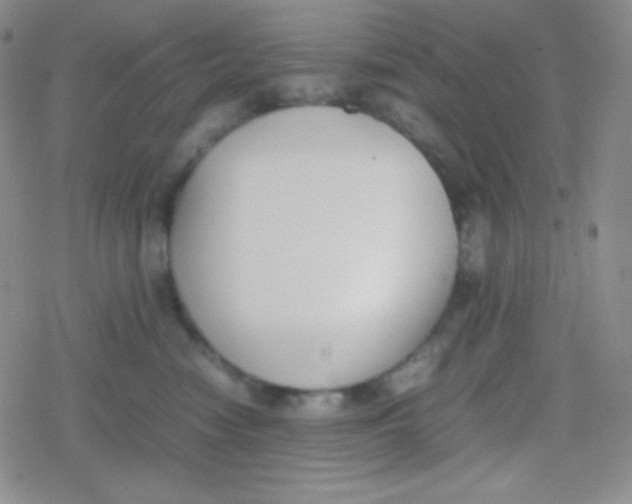 X0000079320474200612081939