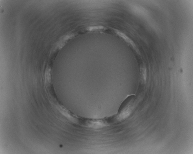 X0000079320475200612081939