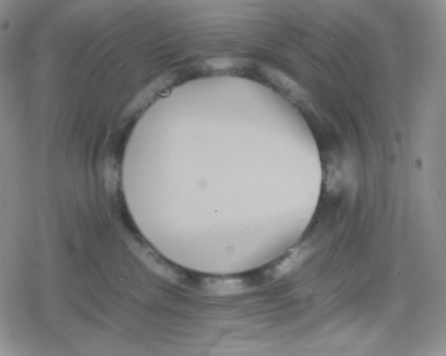 X0000079320476200612081939