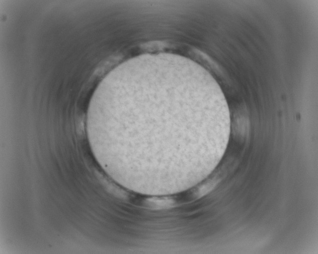 X0000079320477200612081939