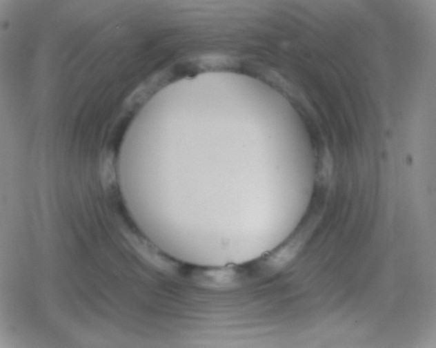 X0000079320478200612081939