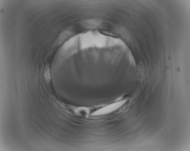 X0000079320479200612081939