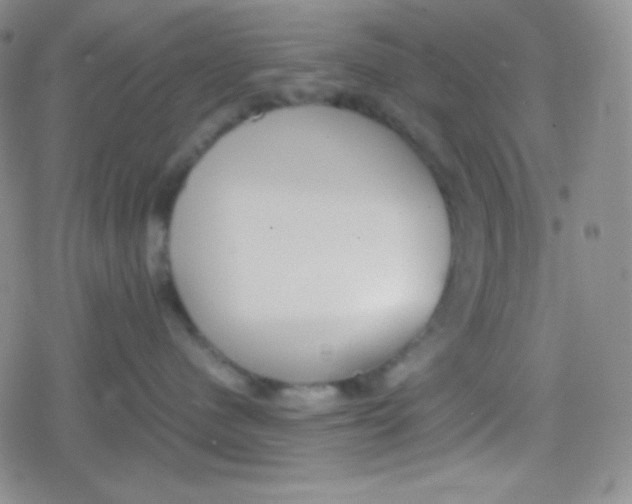 X0000079320480200612081939