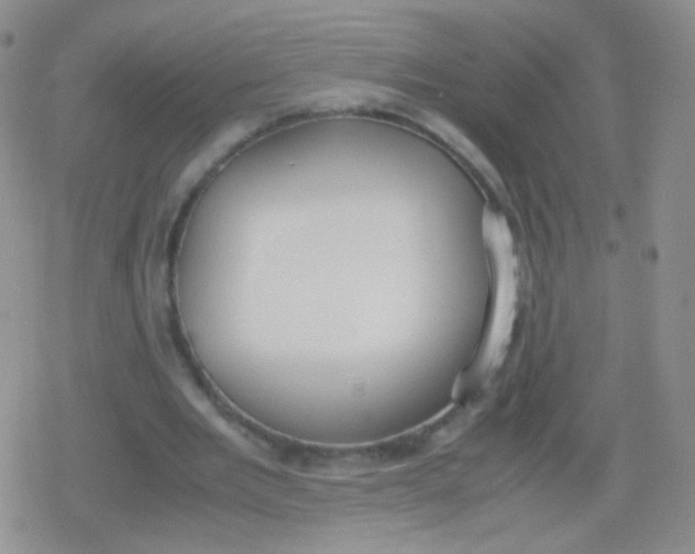 X0000079320485200612081938