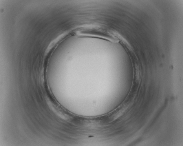 X0000079320486200612081938