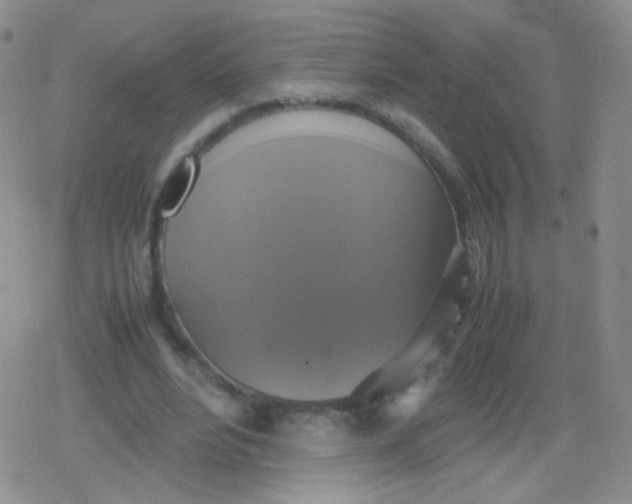 X0000079320488200612081938