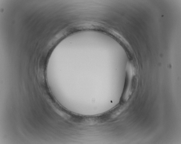 X0000079320489200612081938