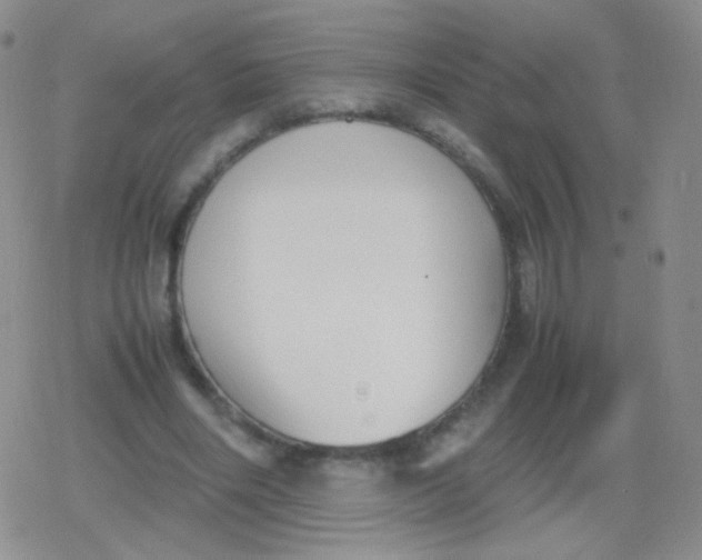 X0000079320490200612081938