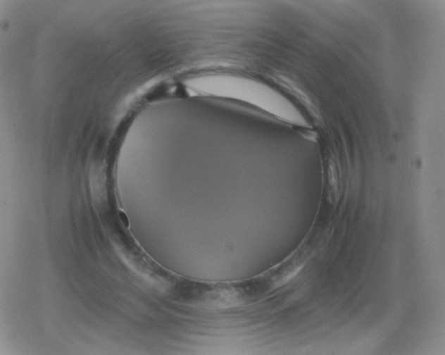 X0000079320492200612081938