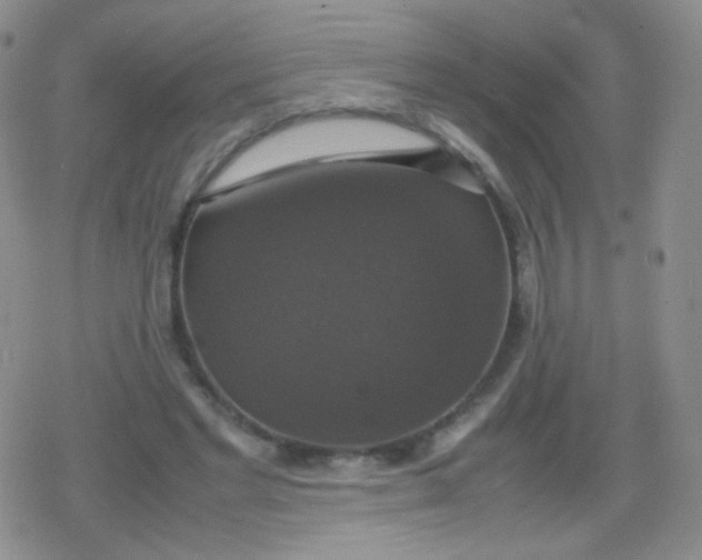 X0000079320493200612081938