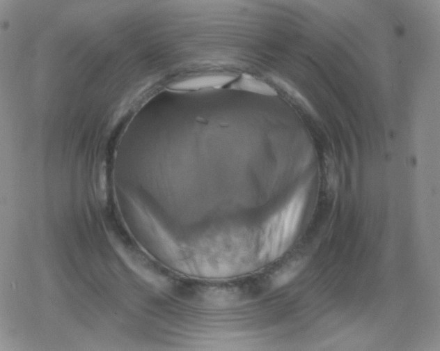 X0000079320494200612081938