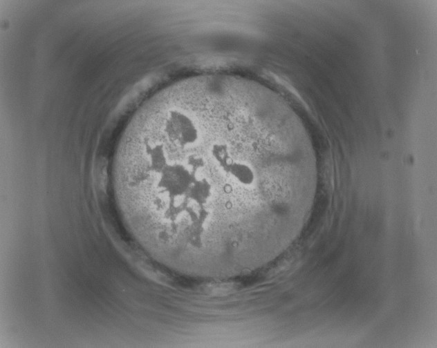 X0000079320495200612081938