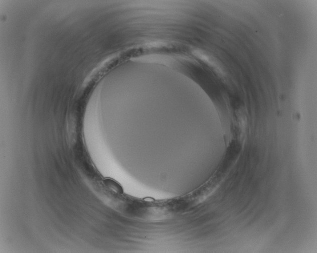 X0000079320496200612081938