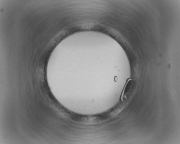 X0000079320497200612081938