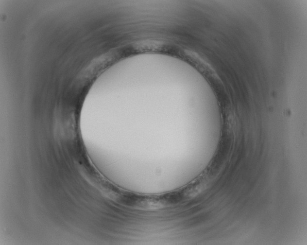 X0000079320498200612081938