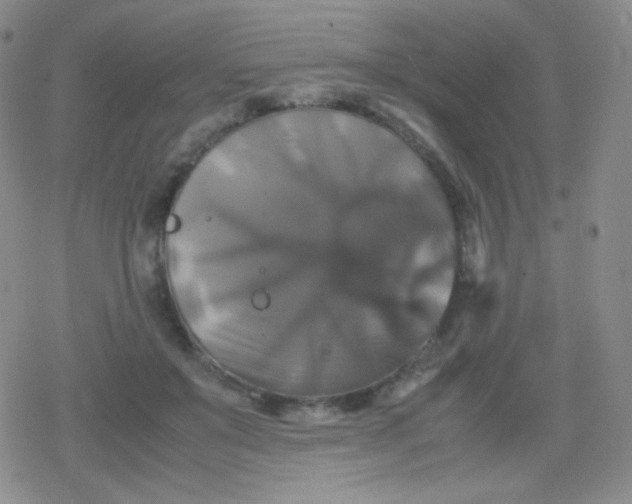 X0000079320503200612081937