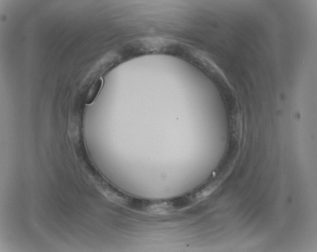 X0000079320505200612081937