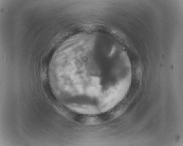 X0000079320507200612081937