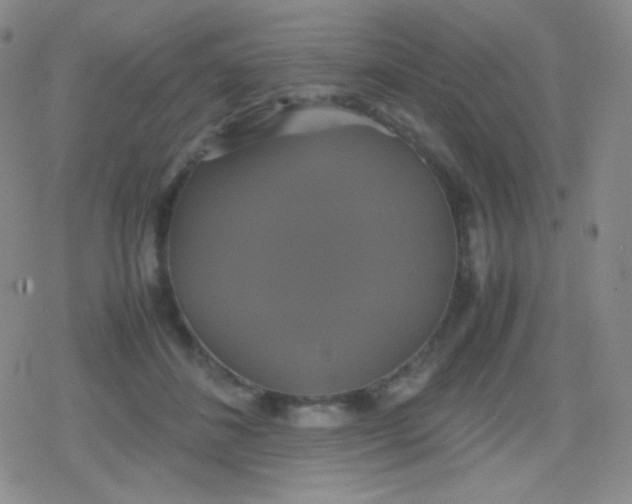 X0000079320508200612081937