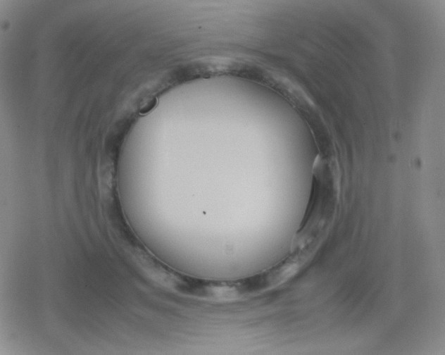 X0000079320509200612081937