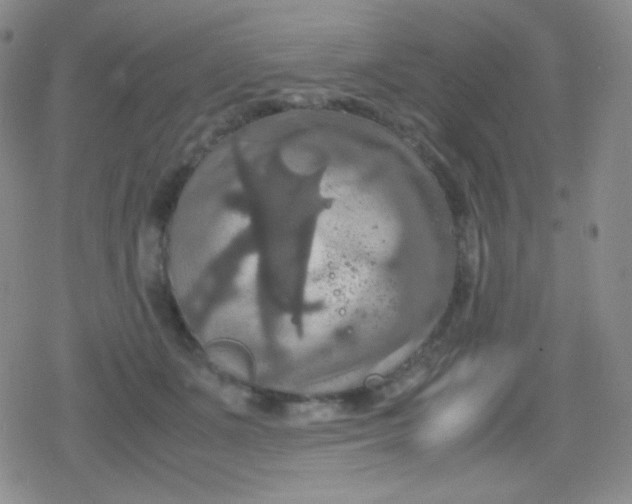 X0000079320511200612081937