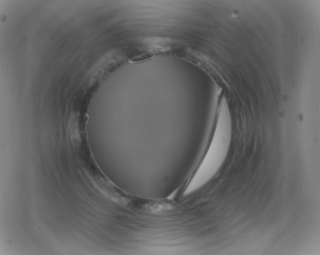 X0000079320512200612081937