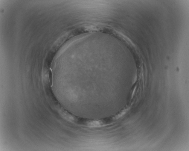 X0000079320513200612081937