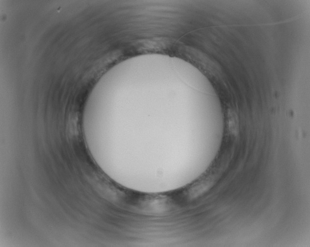 X0000079320514200612081937