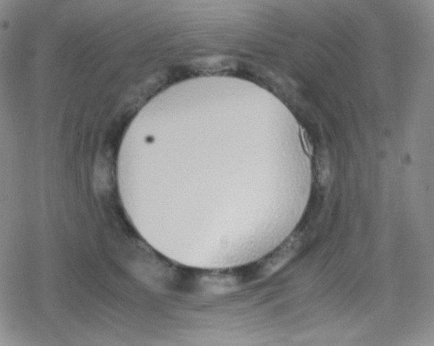 X0000079320515200612081937