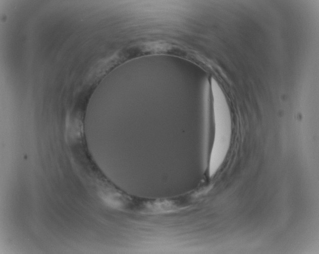 X0000079320517200612081937