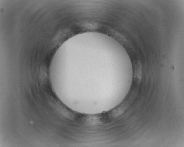 X0000079320518200612081937