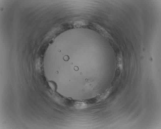 X0000079320519200612081937