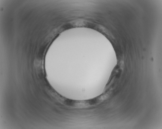 X0000079320521200612081937