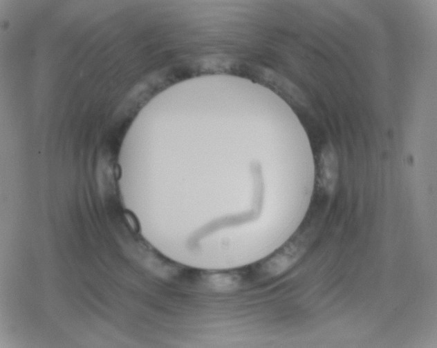 X0000079320522200612081937