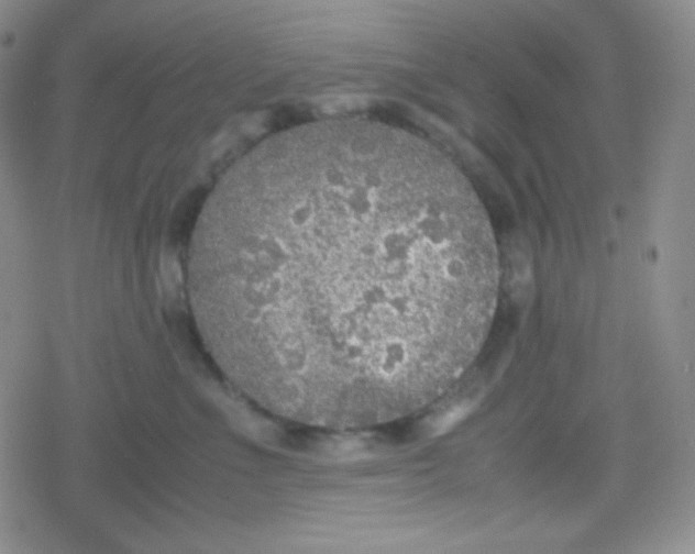 X0000079320523200612081937