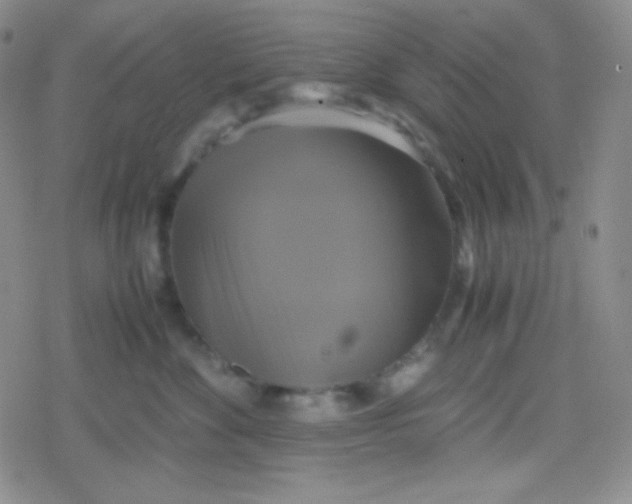 X0000079320524200612081937