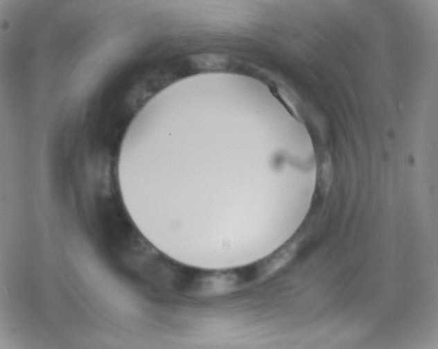 X0000079320525200612081937