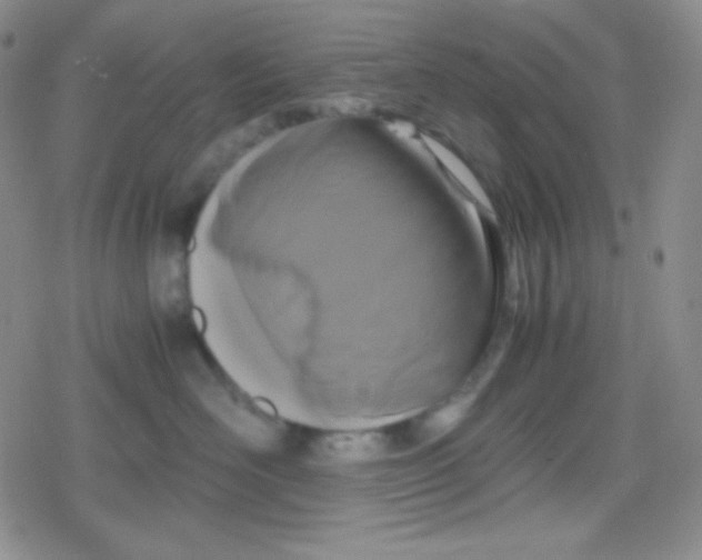 X0000079320526200612081937