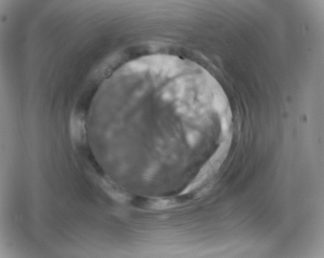 X0000079320527200612081937