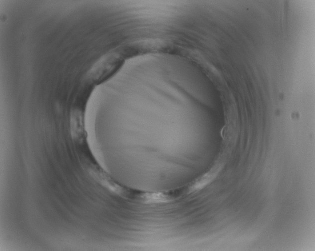 X0000079320528200612081937