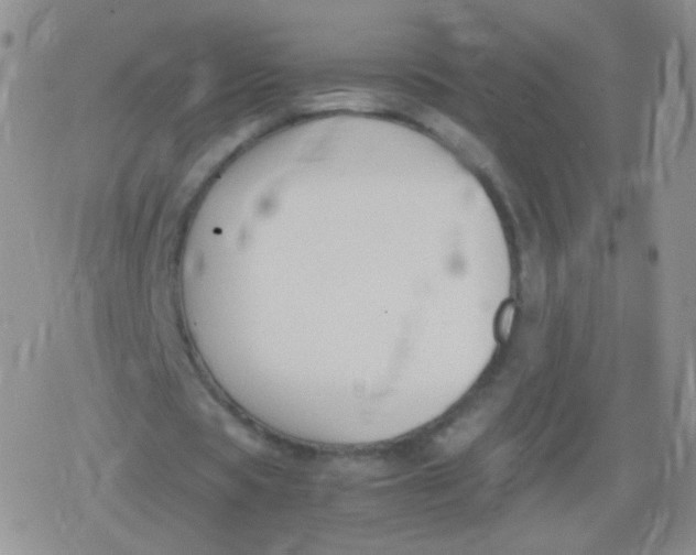 X0000079320529200612081936