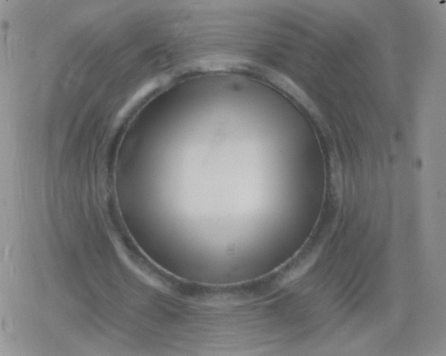 X0000079320530200612081936