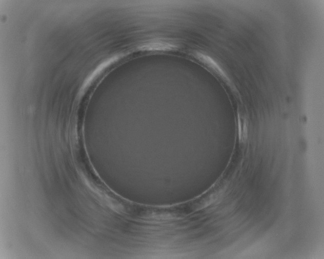 X0000079320531200612081936