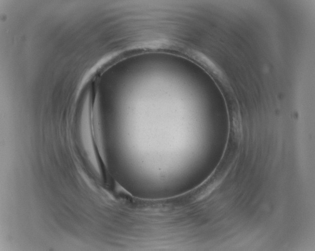 X0000079320532200612081936