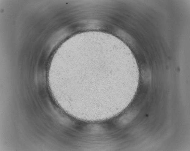 X0000079320534200612081936