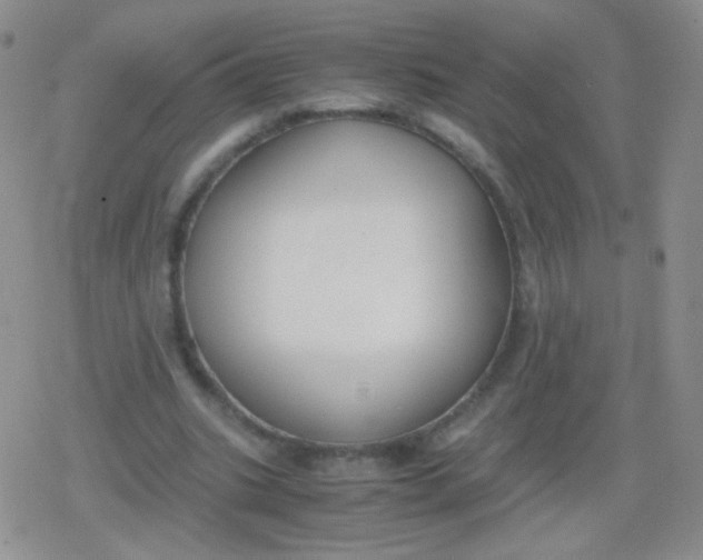 X0000079320535200612081936